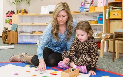Step By Step Montessori Schools