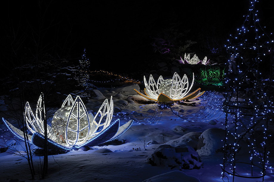 The Arboretum Sparkles And Shines This Season