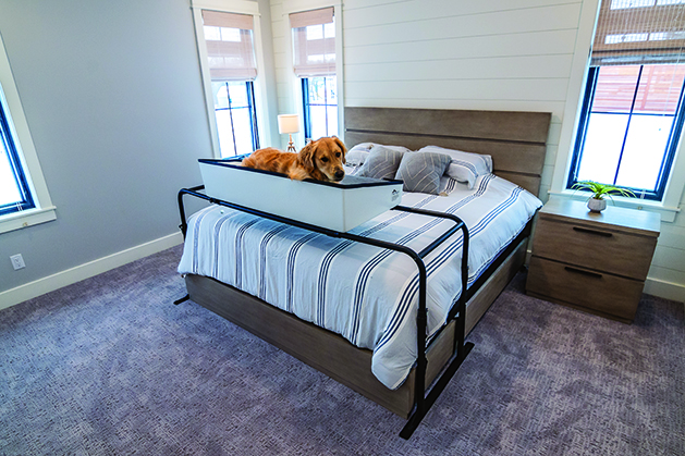 Doggy Bunk Bed Makes it Easier to Share Your Bed with Your Dogs