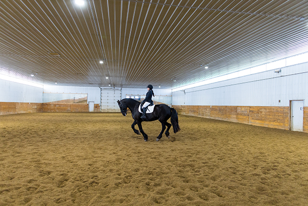 Isabelle Gallagher trains up to three times a week and has gained valuable lessons through dressage experiences.