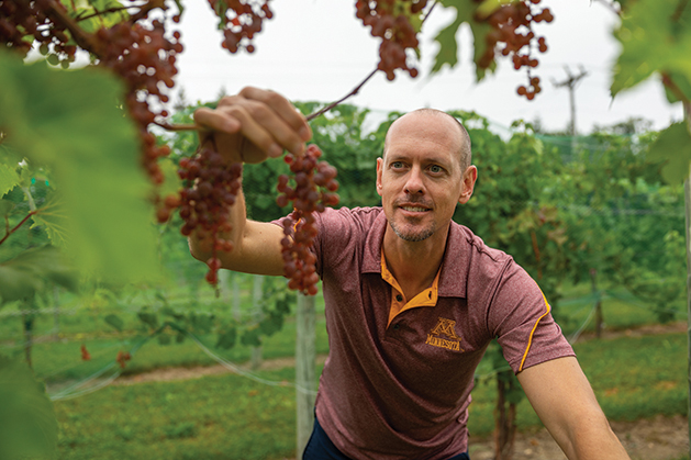 Matthew Clark Assistant Professor, Grape Breeding and Enology in the Department of Horticultural Science.