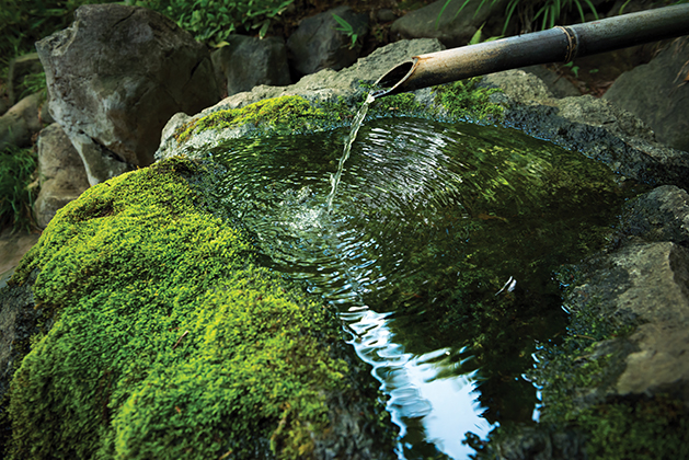 Japanese garden landscape. Water tank harmonized with nature.