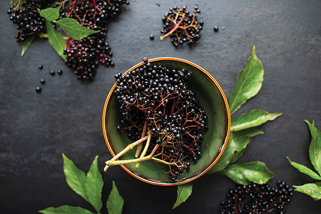 Raw ripe elderberry in a bowl standing on a dark table, top down view