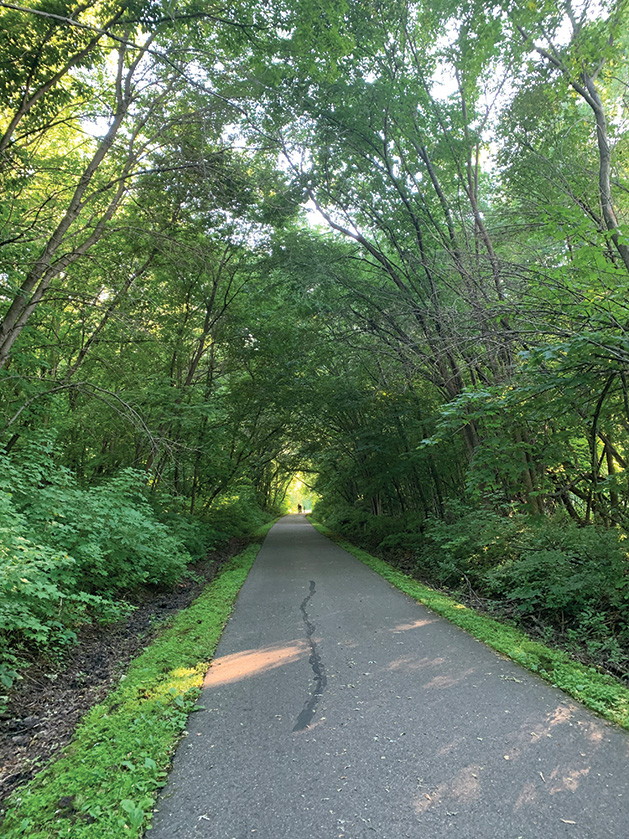 Wooded Bike Trail