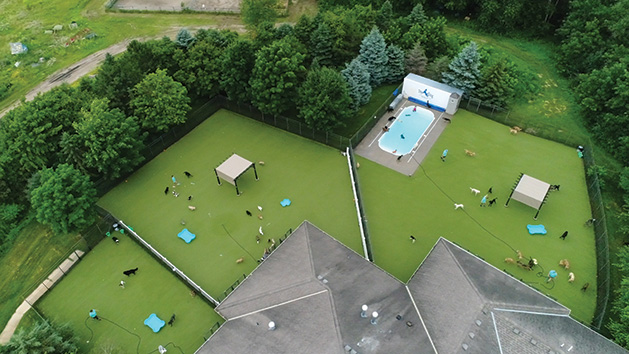 Top Dog Country Club aerial view.