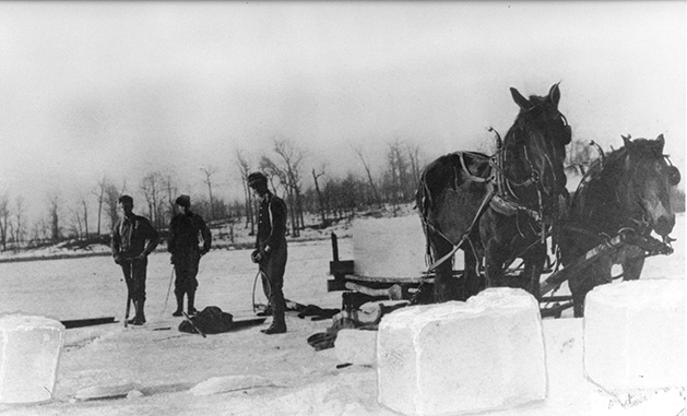 Workers harvest ice from Lake Minnetonka, lifting it onto a horse-drawn wagon.