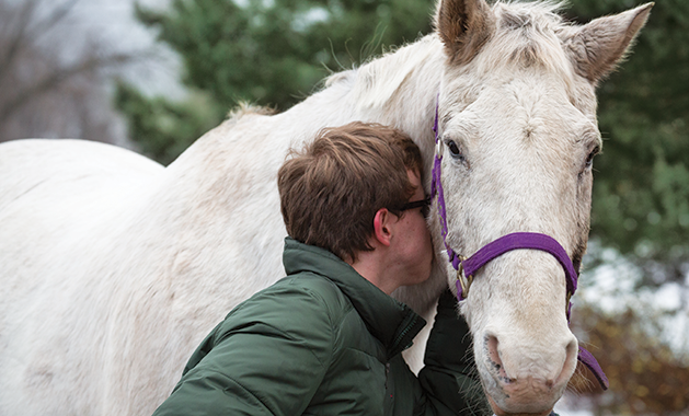 Meet Two Horses Who Have Stolen Hearts and Changed Lives in the Lake Minnetonka Area