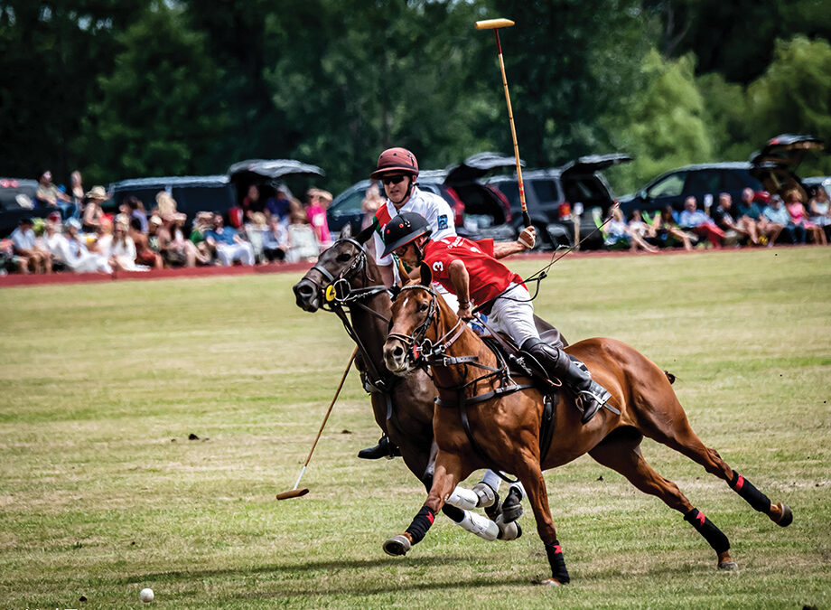 How the Polo Classic Helps Retired Racehorses