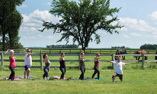 Find Balance and Strength with Equine Yoga
