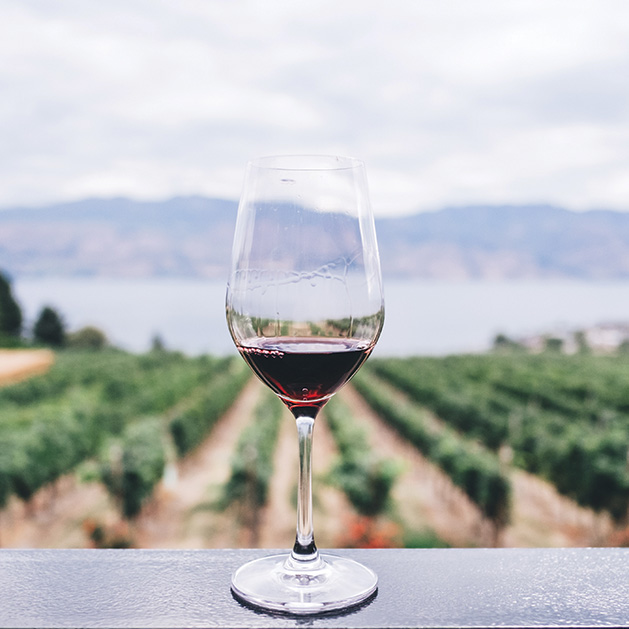 Try California Wine Country for Your Next Family Vacation