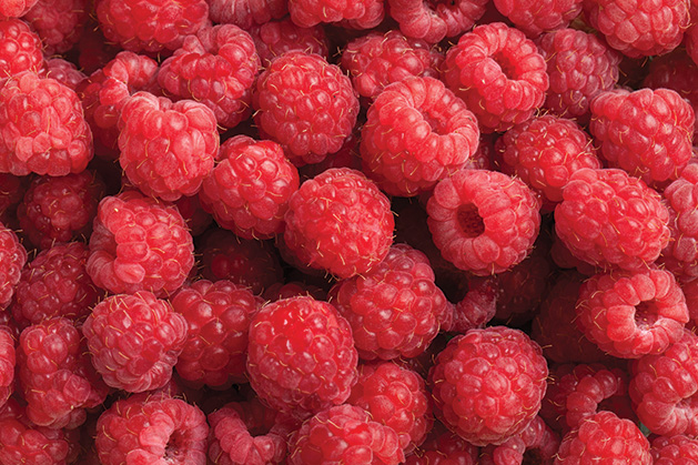 Homegrown raspberries