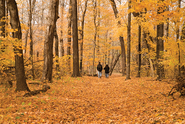 Fall colors in Minnesota