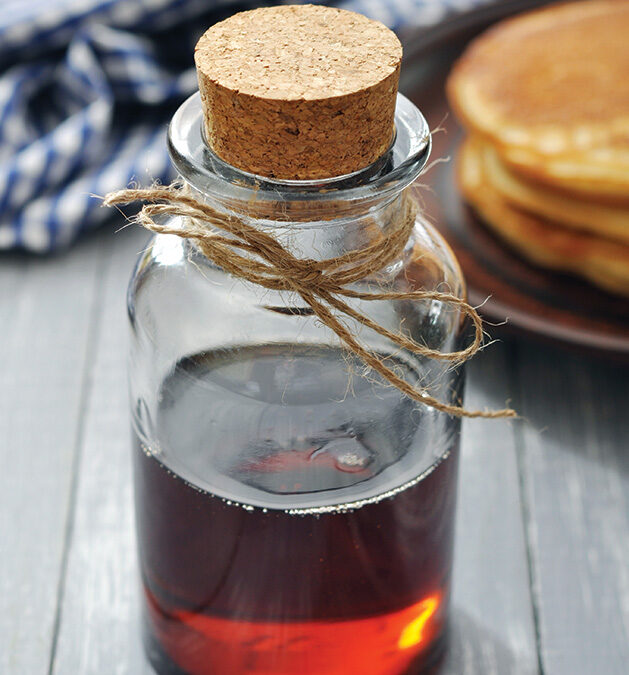 A Writer’s Adventure Amassing Sap for Syrup