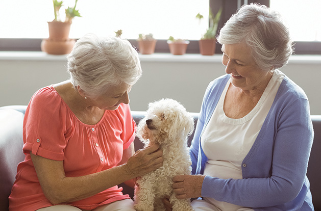 Two senior women play with a dog at Lake Minnetonka Shores, voted Best Senior Living Residence in the Best of Lake Minnetonka 2019 readers' choice survey.