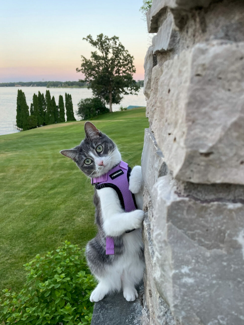 Lens on Lake 2023 Winners Lake Magazine