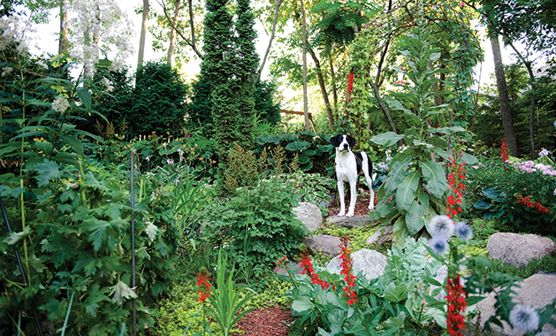 Local Couple Cultivates a Magical, Evolving Garden