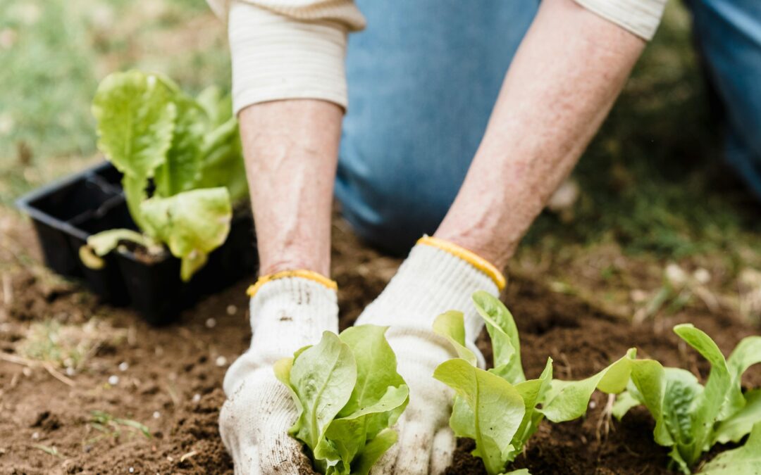 Get Inspired by “Growing Together: A Gardening Podcast”