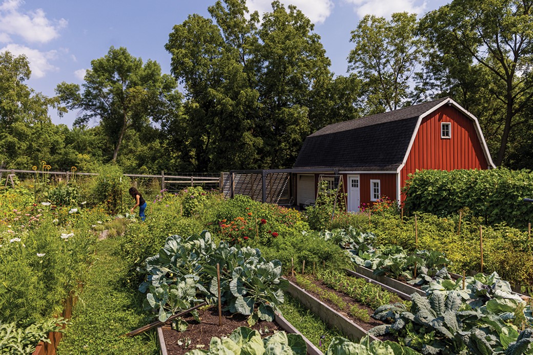 Finding enough to do in her Long Lake garden isn’t difficult for Meg Cowden. She relishes the opportunity. “Gardening is a multifaceted life-giving hobby,” she says. “It provides you with the opportunity to slow down, observe [and] experience deep reverence daily, and it’s grounding.”