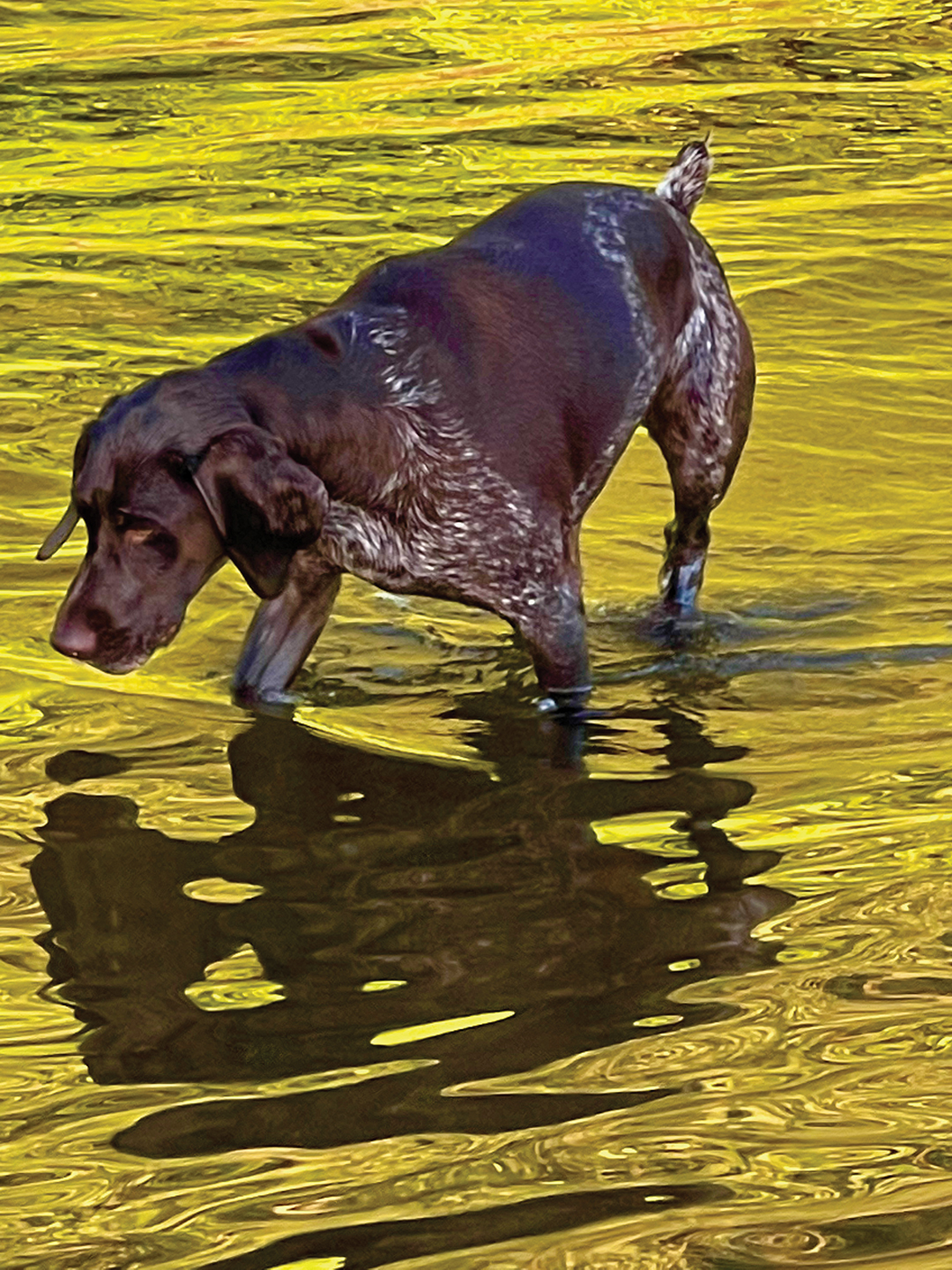 In Golden Pond_sarah happe