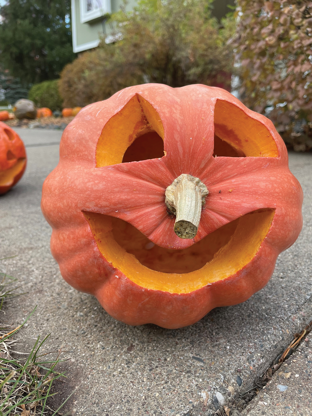 Jack-o’-lanterns carved by Quinn Schomburg