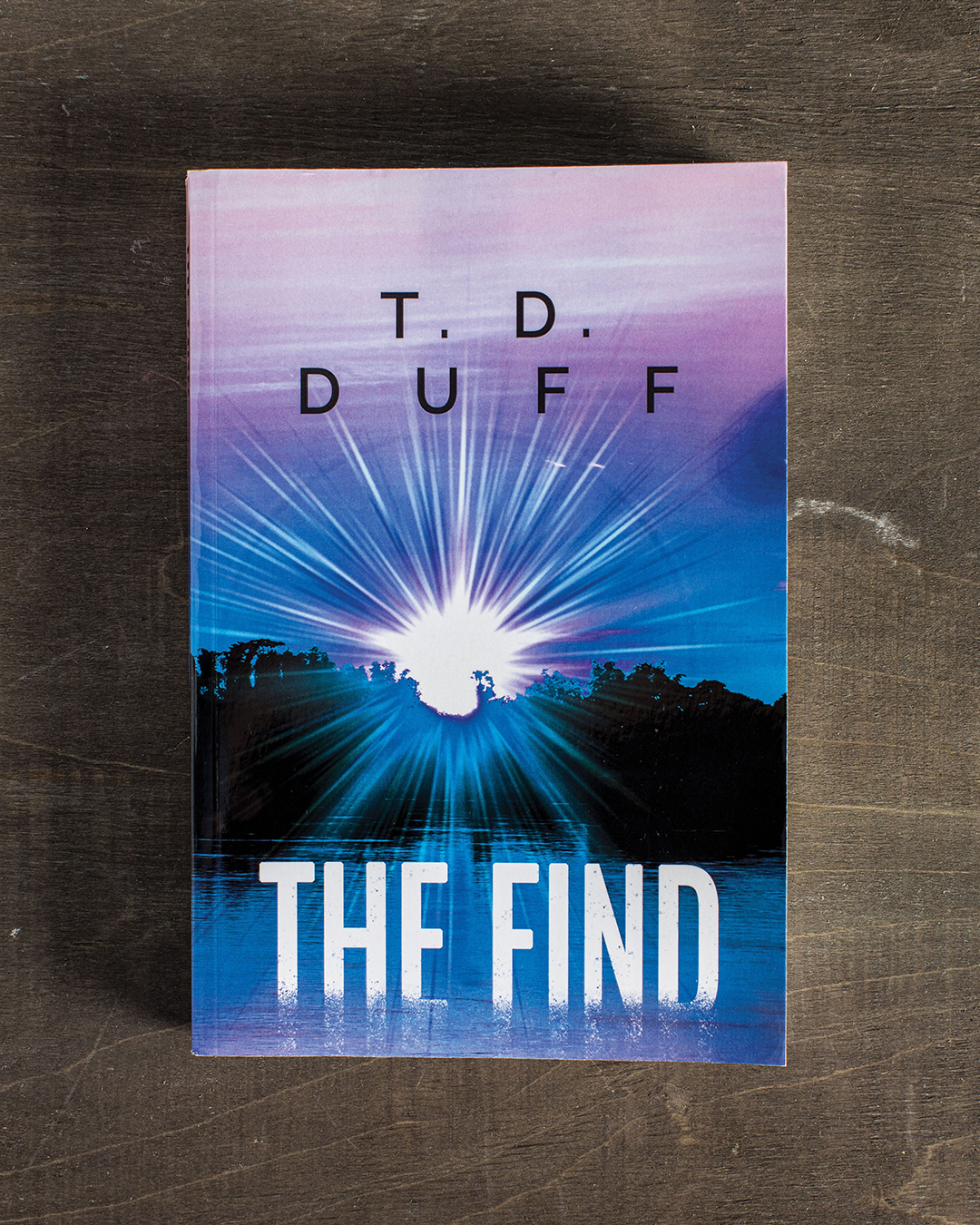 The Find Novel