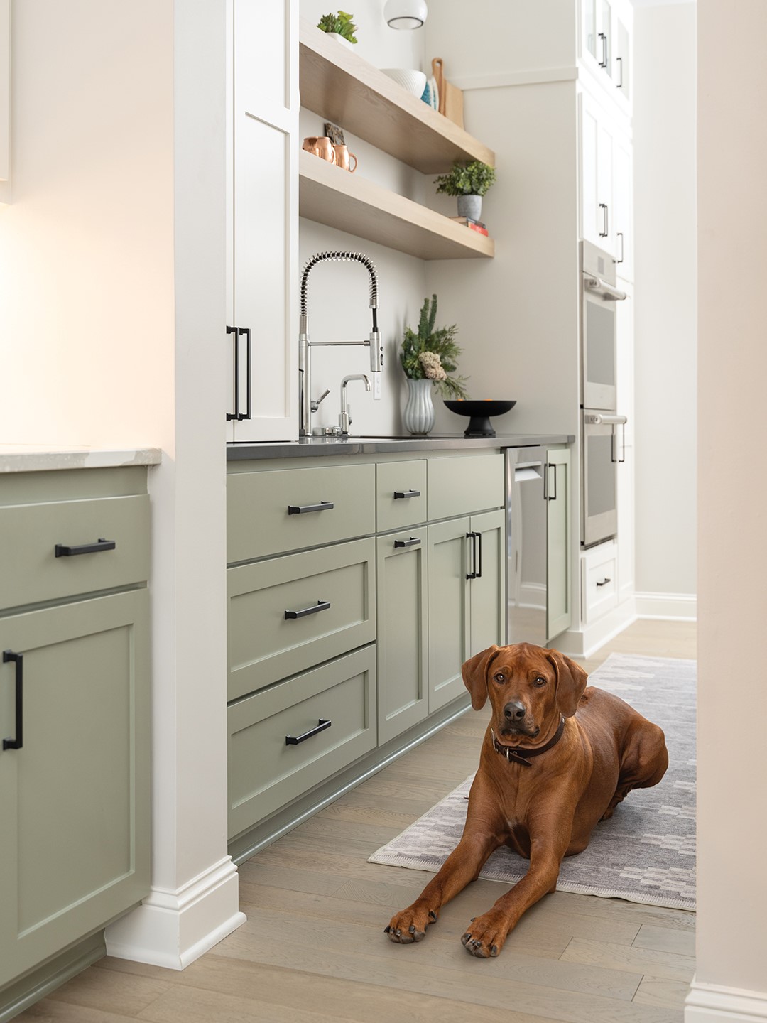 Walk-in pantry in Medina home scullery.