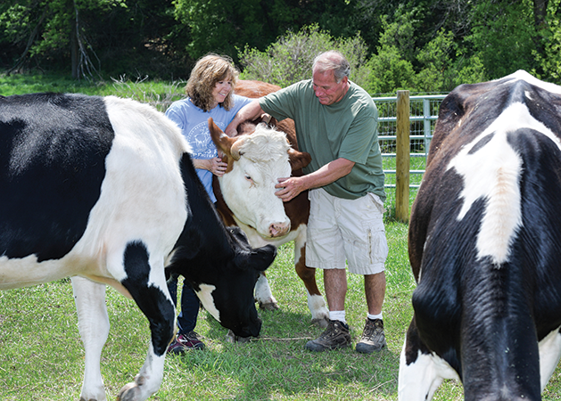 Get to Know the Lucky Animals of Spring Farm Sanctuary