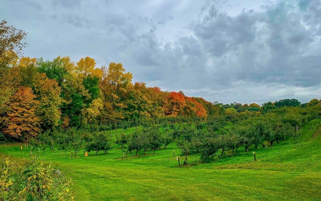 ABC’s The Bachelor Filmed Becca Kufrin’s Hometown Date at Minnetonka Orchards