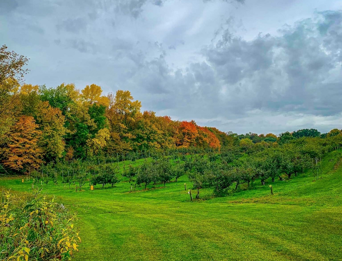 Scenic fall view at Minnetonka Orchards