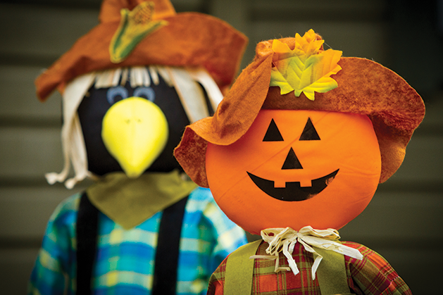 Husband and Wife Create an Autumn Experience You’ll Remember in Excelsior