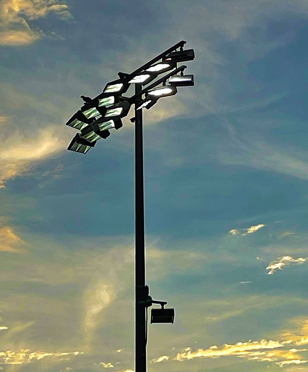 Osprey on Light Stand - Veterans Field
