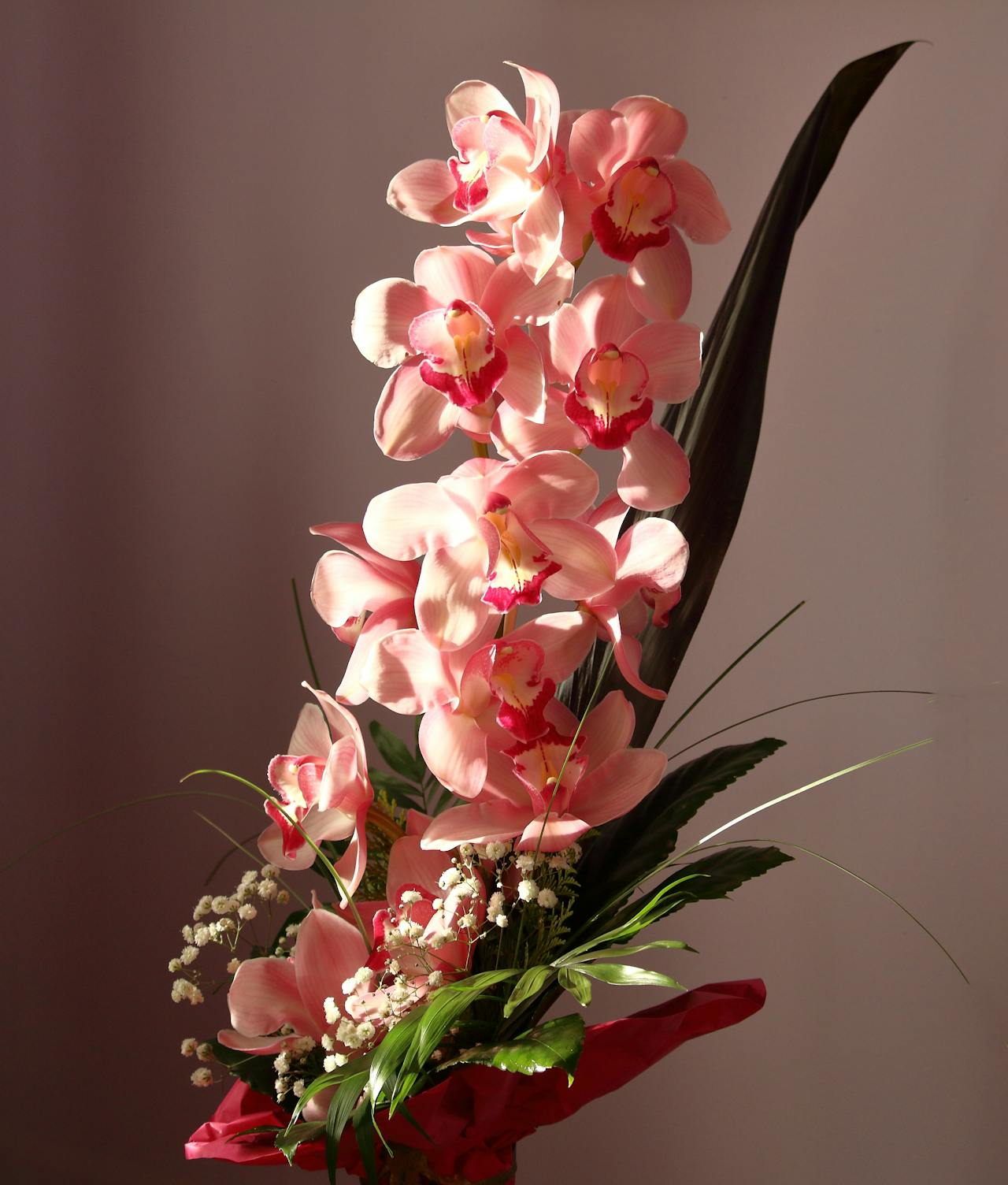 Pink orchids