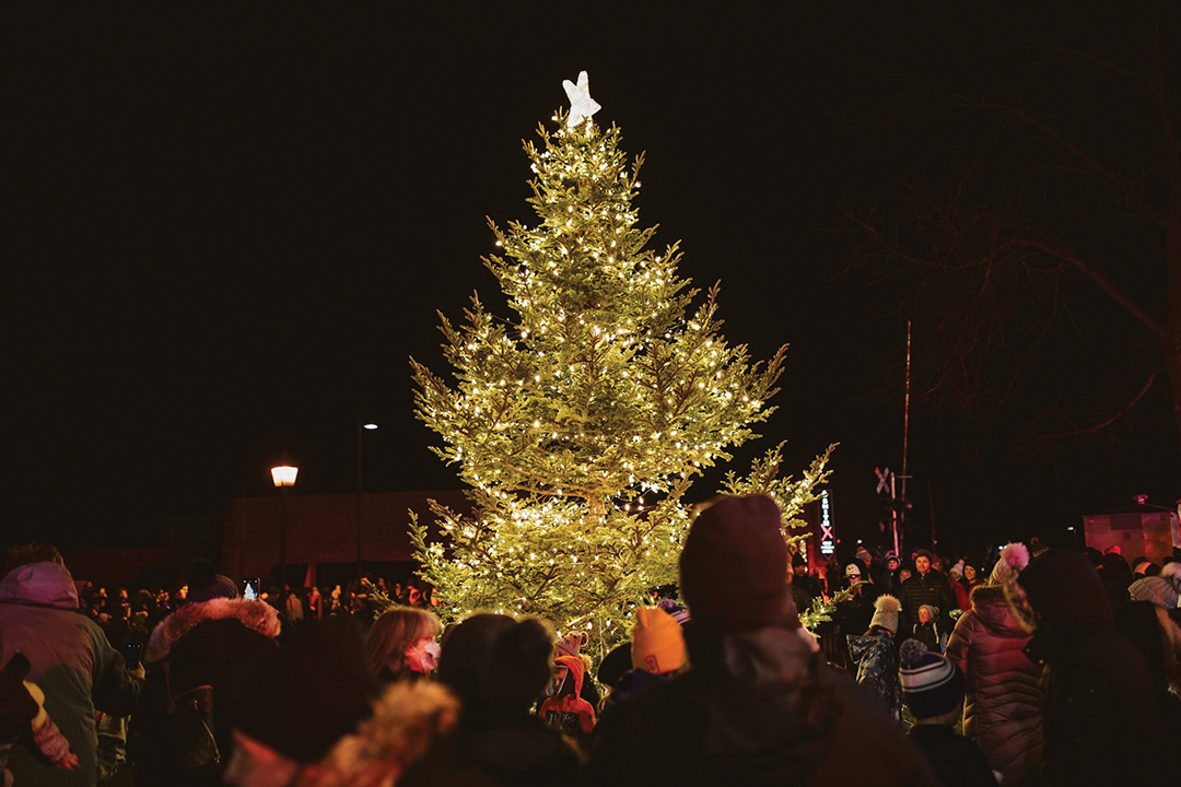 The annual tree lighting ceremony flips on the switch to the holiday season.