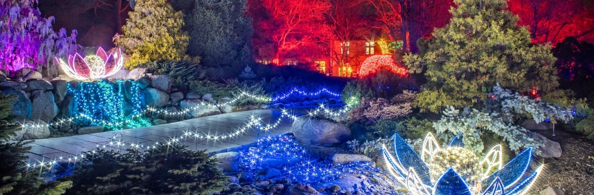 Winter Lights event banner