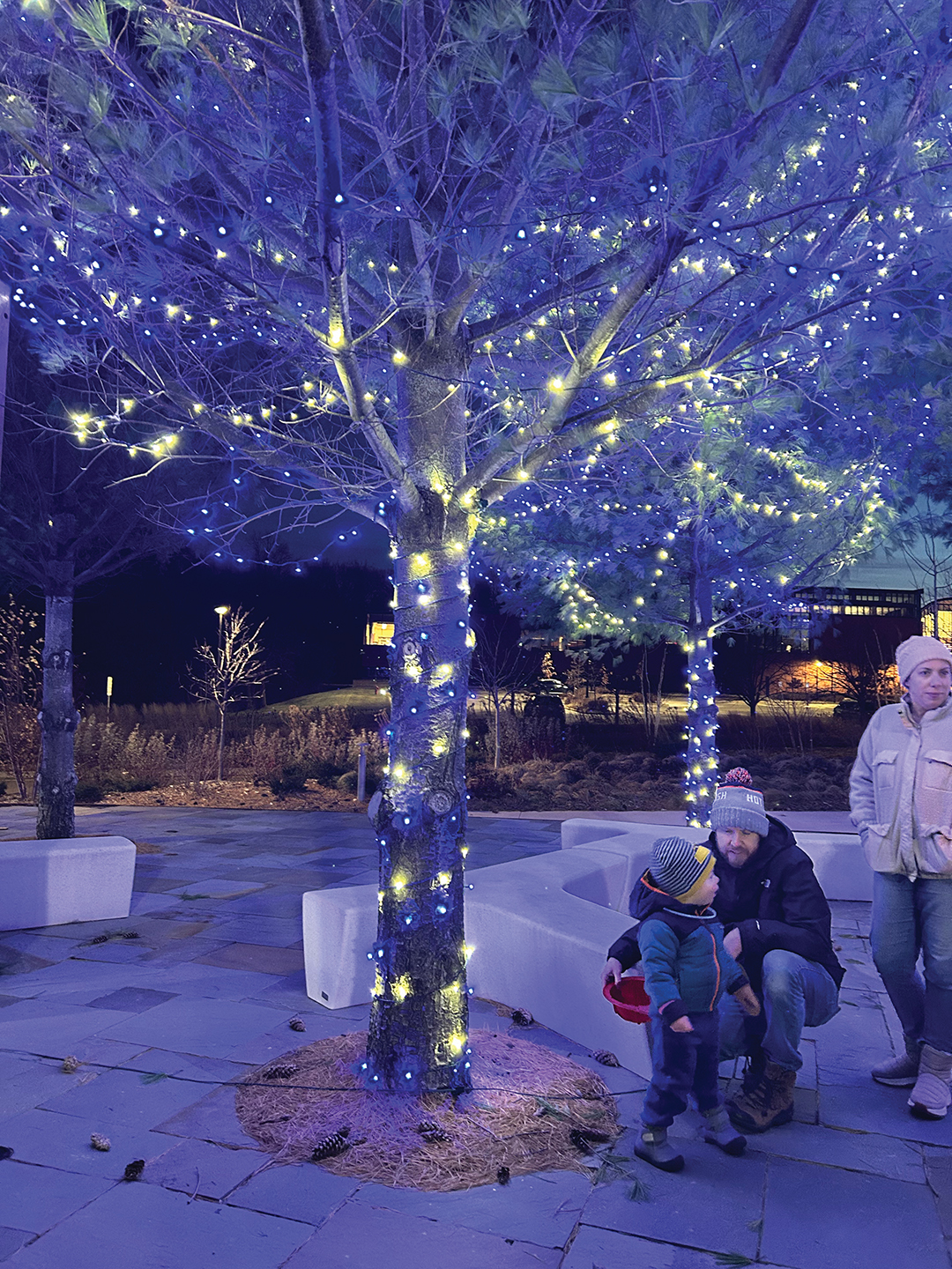 Family at Light up the Commons event