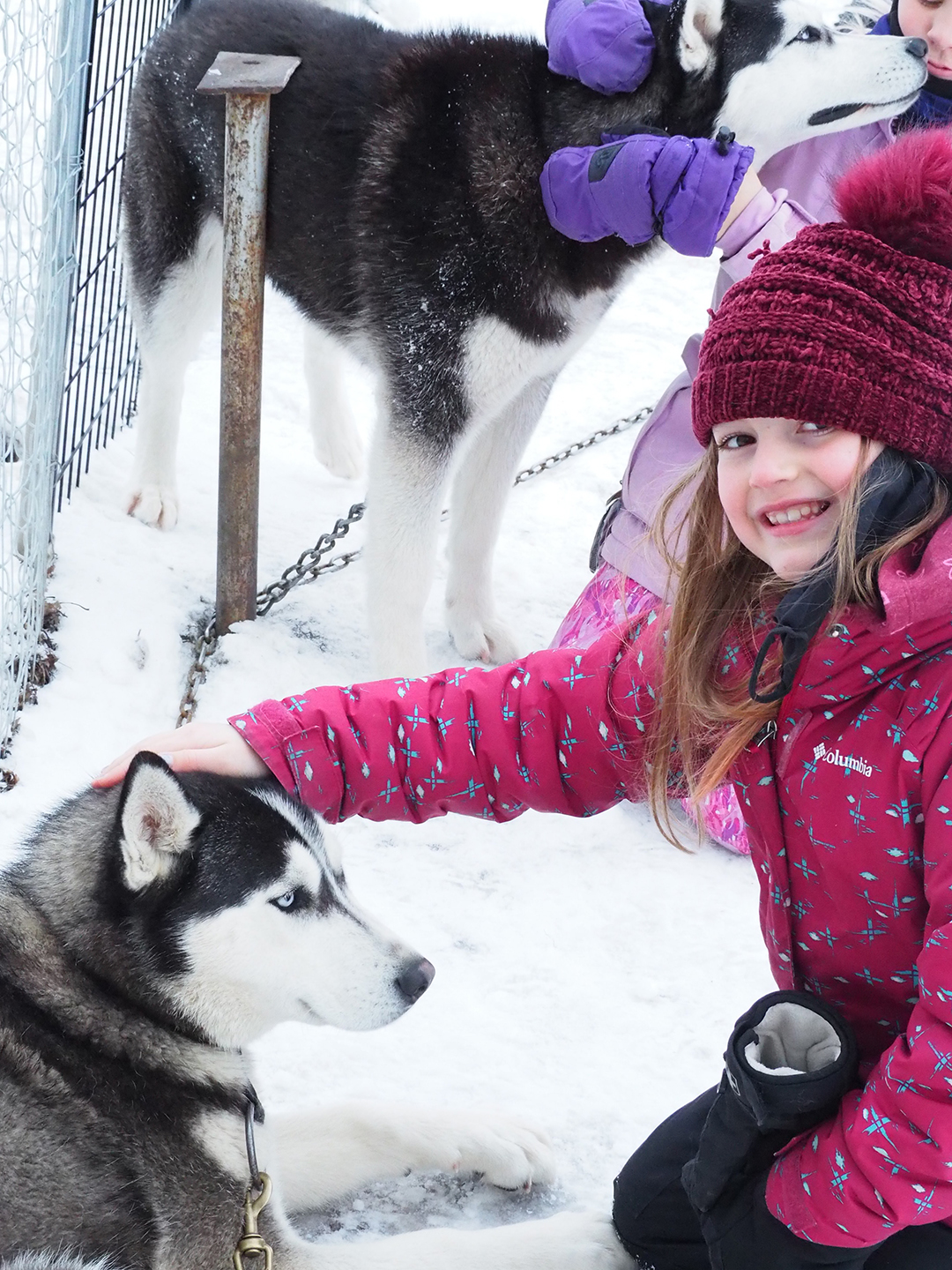 Girl petting huskie