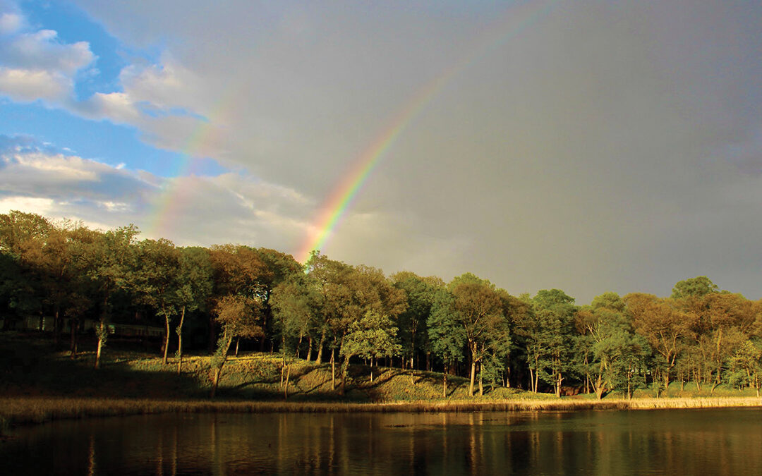 Spring Double Rainbow