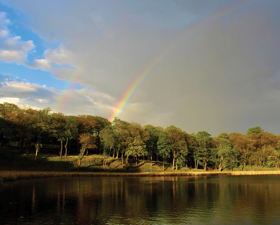 Spring Double Rainbow