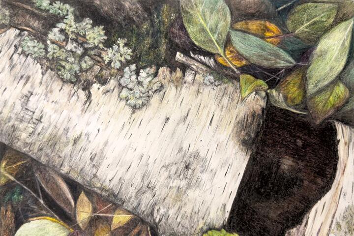 Tischer Mosaic 2 by Angie Andresen