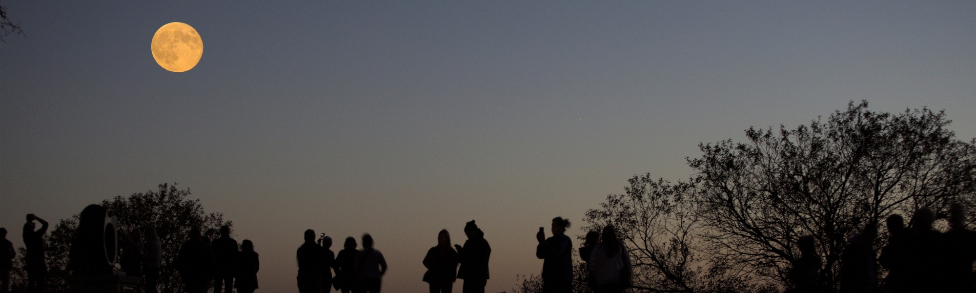 Full Wolf Moon Hike Minnesota Landscape Arboretum