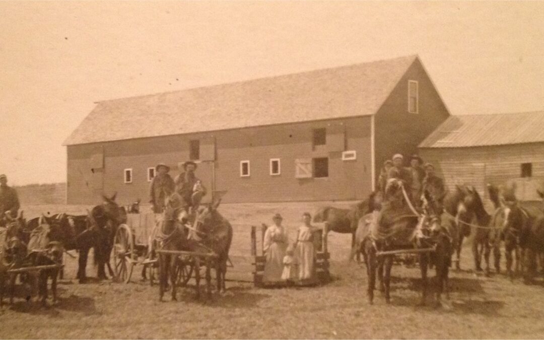 Harvest Days and Hearty Dinners