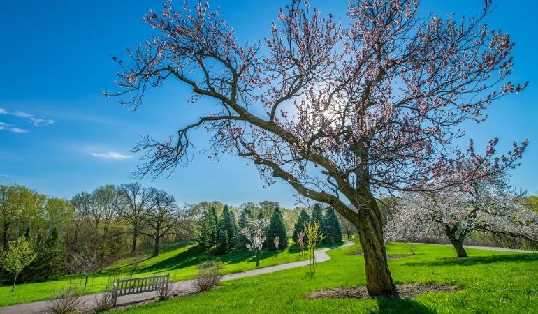 Arbor Day Minnesota Landscape Arboretum