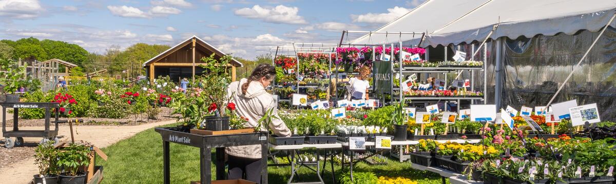 Arboretum Plant Sale