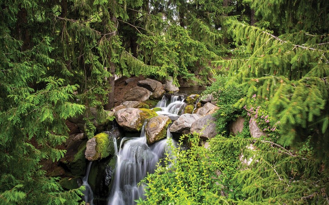 Make a Connection With Nature–Based Therapeutic Services