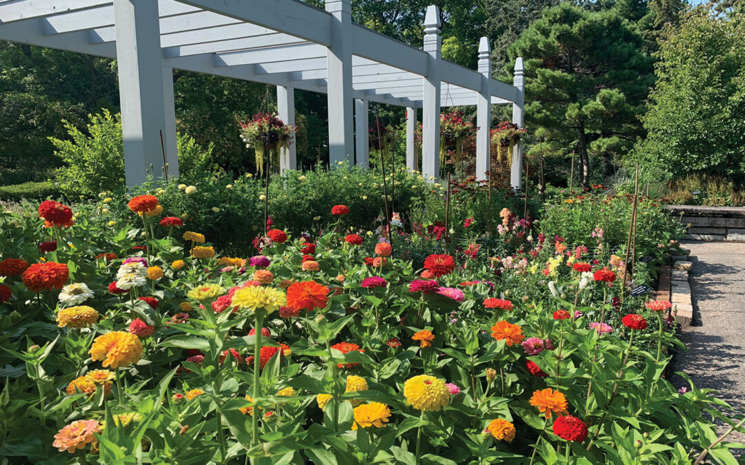 How To Grow Your Own Bouquet