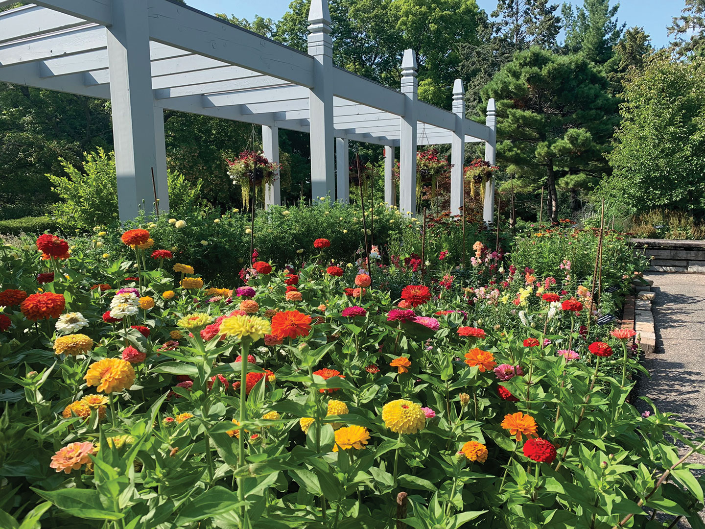 Cutting garden at the Minnesota Landscape Arboretum