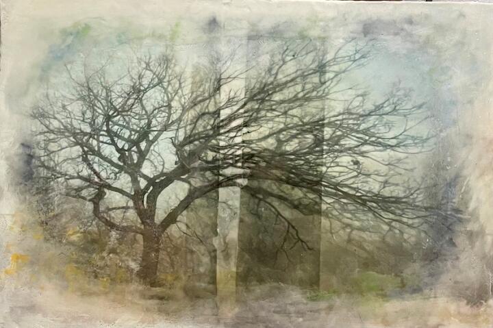 The Memories of Trees Mary Pat Maracle