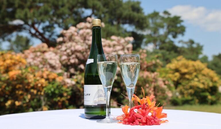 Arboretum Signature Dinner Series: Bubbles & Bites in the Azaleas