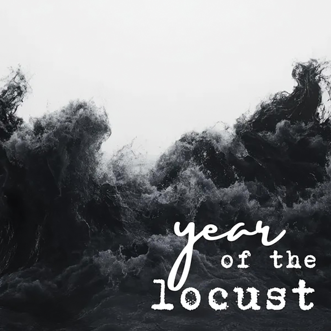 Year of the Locust album cover